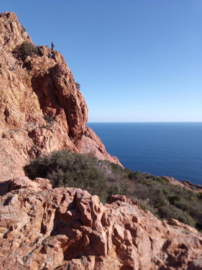 Frejus Plage, Appartement Entier , Piscine,Parking,Plage A 200M المظهر الخارجي الصورة